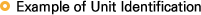 Example of Unit Identification